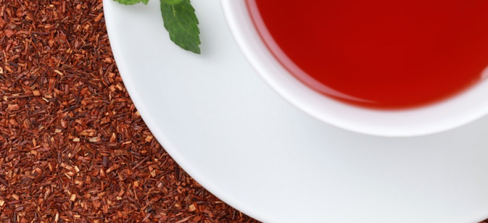 rooibos